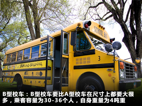 B型校車
