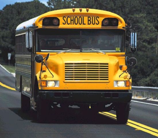 美國校車是最安全、最有特權的公車（組圖）