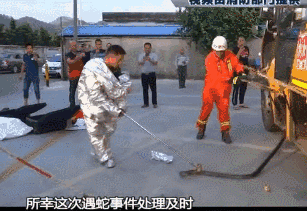 校車里闖入三米長大蛇，三名消防員輪番上陣終制服！