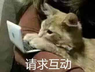 全市嚴查校車進行時！您家孩子坐的車都被交警攔下了……