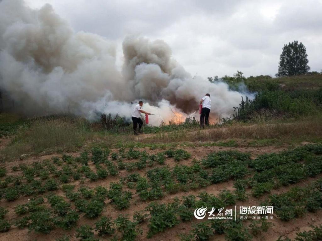 路遇農(nóng)田突起大火 校車“消防員”合力撲救