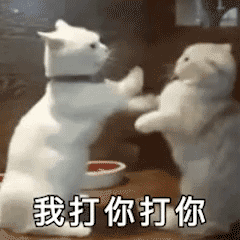 交警集中嚴查校車，“問題”車輛立即整改！孩子乘坐校車要注意十個細節……