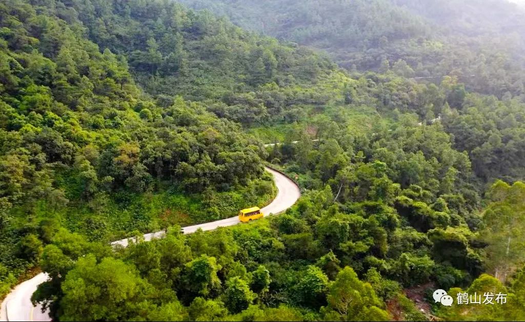 滴！滴！滴！古勞茶山村校車專線開通！