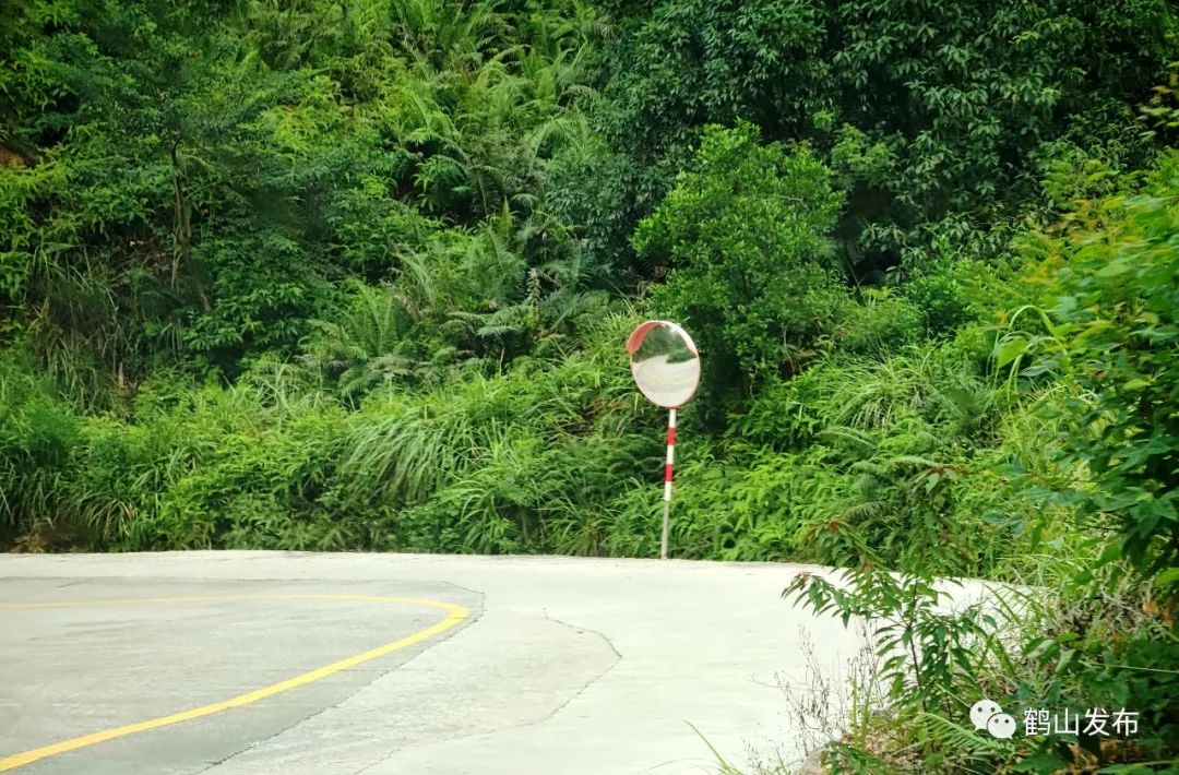 滴！滴！滴！古勞茶山村校車專線開通！