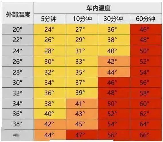 【大舒有話說】“校車奪命”悲劇一起都不應(yīng)該有！
