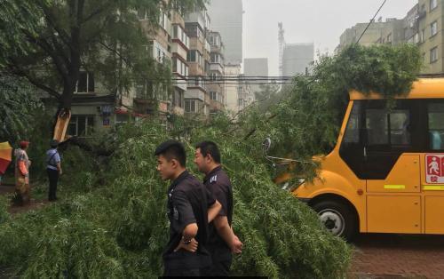 哈市香坊區(qū)一棵大樹樹干折斷砸中校車 無人員傷亡