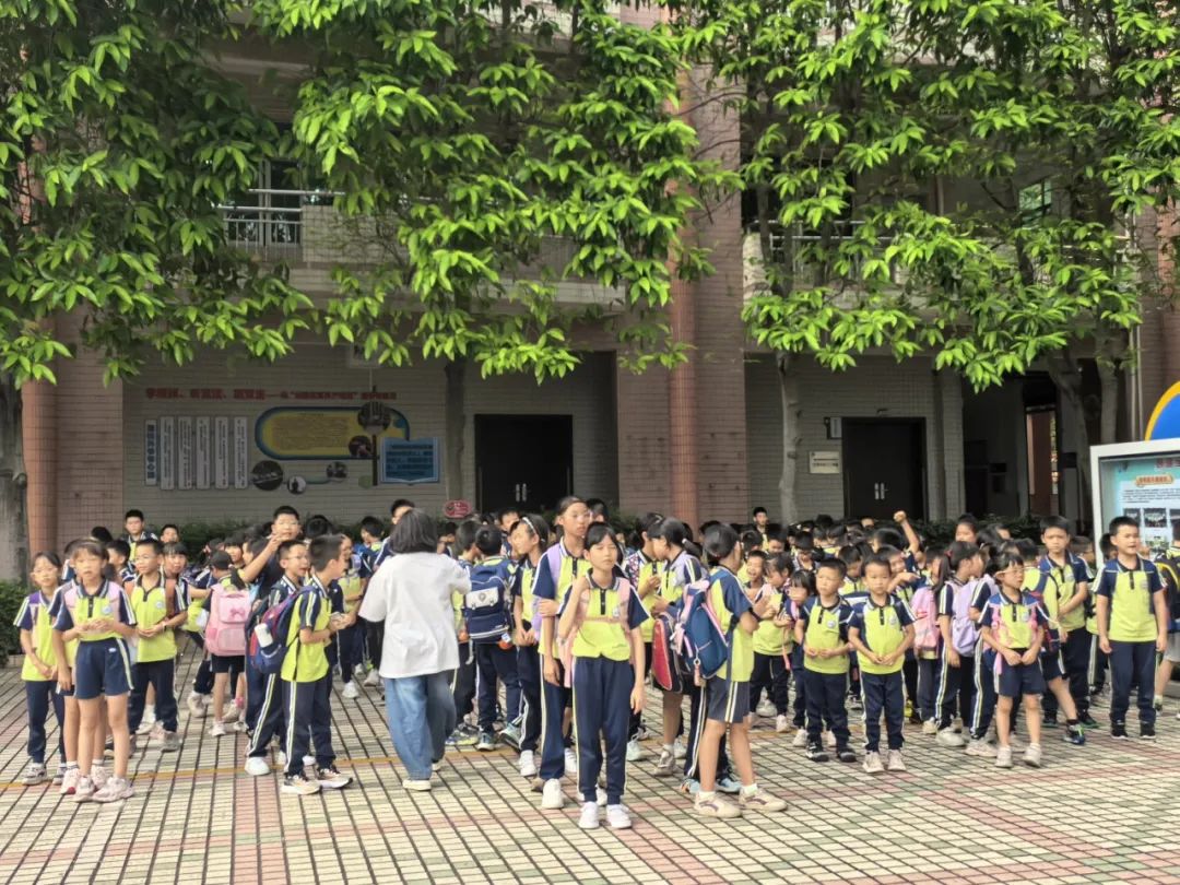 聚焦安全，守護校園——紫南小學校車安全應急疏散演練