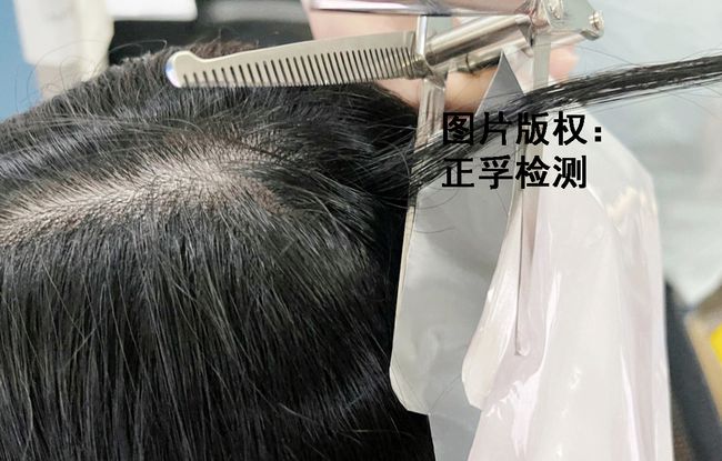校車司機毛發檢測