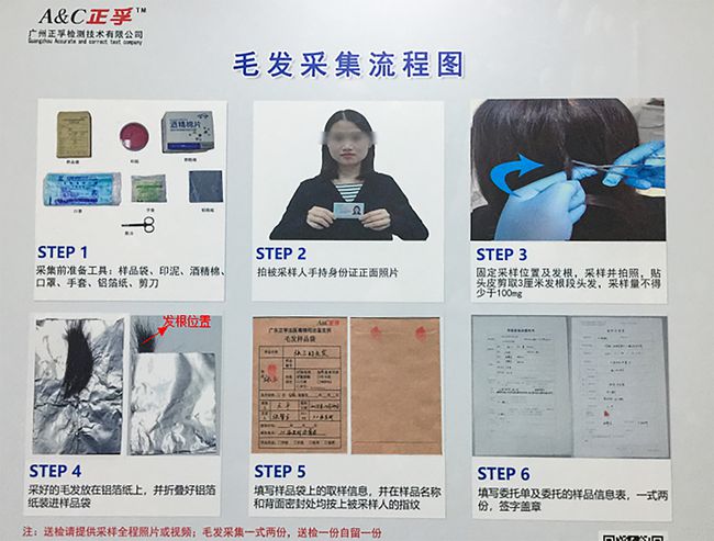 校車司機毛發檢測